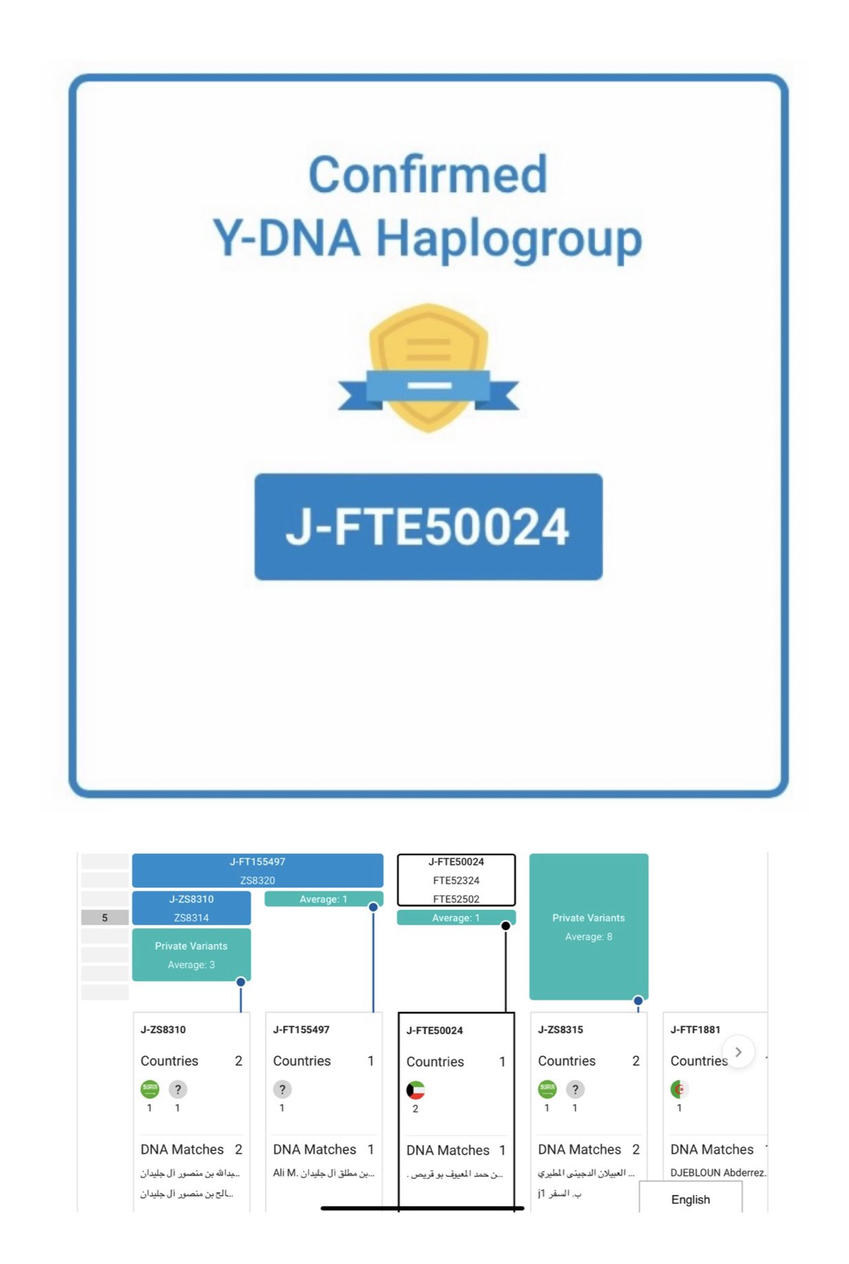 موضع J-FTE50024 في شجرة التحورات